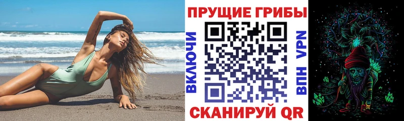 блэк спрут зеркало  Урюпинск  Псилоцибиновые грибы мицелий 